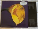Swans - the Burning World US orig' MCA LP + PRESS KIT 1989 Skin