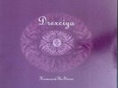 Drexciya - Harnessed The Storm LP 2x12