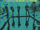 The Sonics Introducing The Sonics Beatrocket Vinyl LP