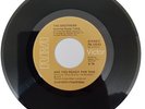 THE BROTHERS ft George Young - ARE YOU READY FOR THIS / EVERBODY LOVES A WINNER