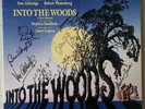 Bernadette Peters Chip Zien Ben Wright +4 Signed Into the Woods LP Vinyl OBC