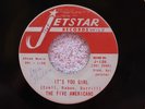 The Five Americans  - I'm Gonna Leave You/It's You Girl -  US 7