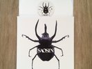 Saosin Self-Titled White Vinyl LP SRC Subcription Edition #63/250 Circa Survive
