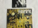 Screaming Trees Vinyl Dollar Bill 12” Single Change Has Come 2x 7” Sub Pop Rare