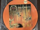 Slayer Hell Awaits Picture Disc Blade Records Metal Original  Lp Vinyl Records