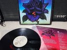 Thin Lizzy Black Rose Lp Vinyl OG 1979 1st Press Shrink/Insert VG+/EX Wax