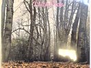 Twink Think Pink LKP Album vinyl record limited pink 2023 Psychedelic Rock