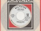 Nancy Wilcox Coming On Strong Rca Demo Soul Northern Motown