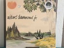 Albert Hammond Jr - Yours To Keep vinyl LP RARE OOP RSD 2016 The Strokes SEALED