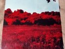 Album / Dave Bryan 