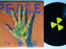 V/A International P.E.A.C.E. Benefit Compilation R RADICAL 2xLP NM punk w/book