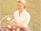 HELMET - BETTY(2LP/RSD EXCL) Vinyl