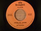 The Mishaps Under My Thumb/One Too Many Mornings Garage 1968 Hemphill Records