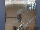 Mk.Gee Two Star & The Dream Police Translucent Green Vinyl | SHIPS  TODAY