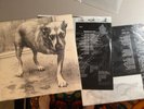 Alice in Chains 3 Legged Dog/ Tripod c2 67248 First Press
