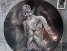 Cannibal  corpse vile vinyl picture disk