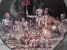 cannibal corpse gore observed picture disk