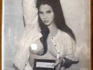 lana del rey vinyl tunnel explicit Cover