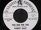 SUNNY GALE: too bad for you / blank CANADIAN-AMERICAN 7