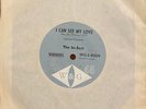 In-Sect - I Can See My Love / More Than I Can Say Very Rare killer 60s Oz 45