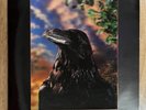The Stranglers - The Raven (1979) UAG 30262 Vinyl LP 3D Lenticular Sleeve EX/EX+