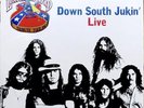 Lynyrd Skynyrd - Down South Jukin' Live / Tribute Tour 1987 (Live) Lp Vinyl.