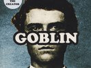 Tyler The Creator - Goblin (Vinyl 2LP - 2011 - US - Original)