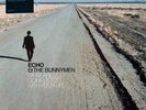 Echo & The Bunnymen - What Are You Going To Do With Your Life? (LP) (Crystal Cle