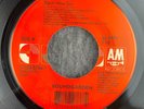 SOUNDGARDEN Black Hole Sun / Spoonman 45 A&M 31458 0766 7 NEW UNPLAYED