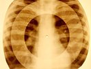 X-RAY USSR ROENTGEN BONES RECORD 78 rpm ORIGINAL OLD RIBS 828