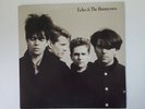 VInyl Record LP Echo and the Bunnymen Self Titled VG