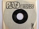 KING JAMES & THE ROYAL JESTERS , rock GARAGE MOODY  60'S W. VIRGINIA/ VERY RARE