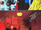 FONTAINES DC - SKINTY FIA RED VINYL + HAND SIGNED PRINT AUTOGRAPHED + MAGAZINE