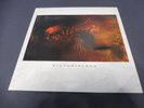 Cocteau Twins – Victorialand 1986 UK LP 4AD 1st EX