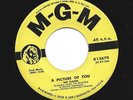 DOOWOP  R&B  45  - ELGINS - A PICTURE OF YOU /  MADEMOISELLE  -  HEAR  1958 MGM