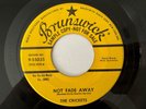 The Crickets (Buddy Holly) Promo 45 