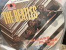 The Beatles, Please Please Me Rare Picture Disk Lp