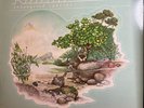KLAATU - ENDANGERED SPECIES 1st Canadian Daffodil Press 1980 LP EX/VG+