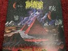 SIGNED  Blood Incantation Absolute Elsewhere SPARKLE Universe Vinyl