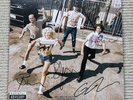 Amyl And The Sniffers Cartoon Darkness Bittersweet Moondance Vinyl SIGNED SLEEVE