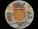 Surface Promo Disco Boogie 45 Falling In Love Stereo bw Mono on Salsoul
