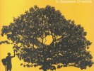 JOHNSON, Jack - In Between Dreams (reissue) - Vinyl (LP)