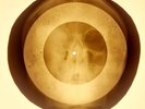 USSR X-RAY SKULL ROENTGEN BONES RECORD ORIGINAL OLD RIBS 825