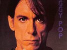 [Japan Used Record] B121 Iggy Pop The Stooges / A Real Wild Child 2 Lp Live Fran