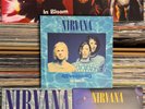 NIRVANA NEVERMIND NM THE SINGLES 2011 RSD VINYL 10