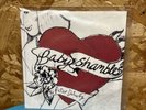 Peter Doherty Babyshambles Rare 7