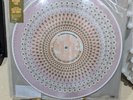 Kacey Musgraves - Same Trailer Different Park Vinyl LP Zoetrope Picture Disc NEW