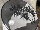 Andrew Jackson Jihad-Can’t Maintain Picture Disc