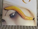 Thirteenth Step by A Perfect Circle (Record, 2003) Vinyl