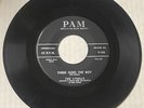 The Lydells DOOWOP 45 There Goes the Boy / Talking To Myself PAM VG++/VG+++ HEAR